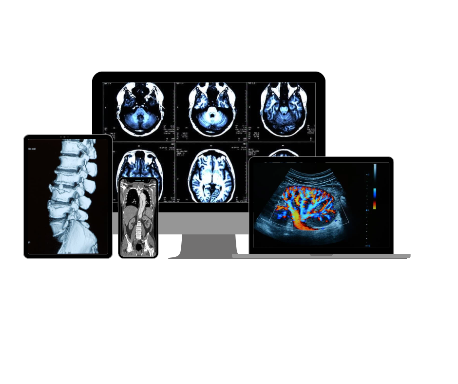 Dr. Segnini - Medical Supplies - Ultrasound - MD Radiologist